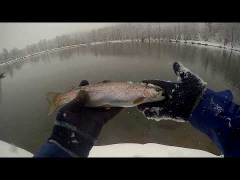 Fly fishing in Georgia შოლტით თევზაობა კალმახზე